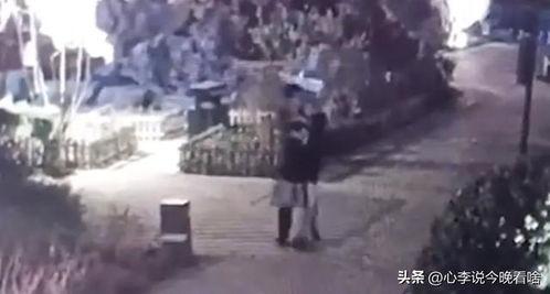 河北吃瓜爆料事件视频曝光,视频曝光事件引发热议